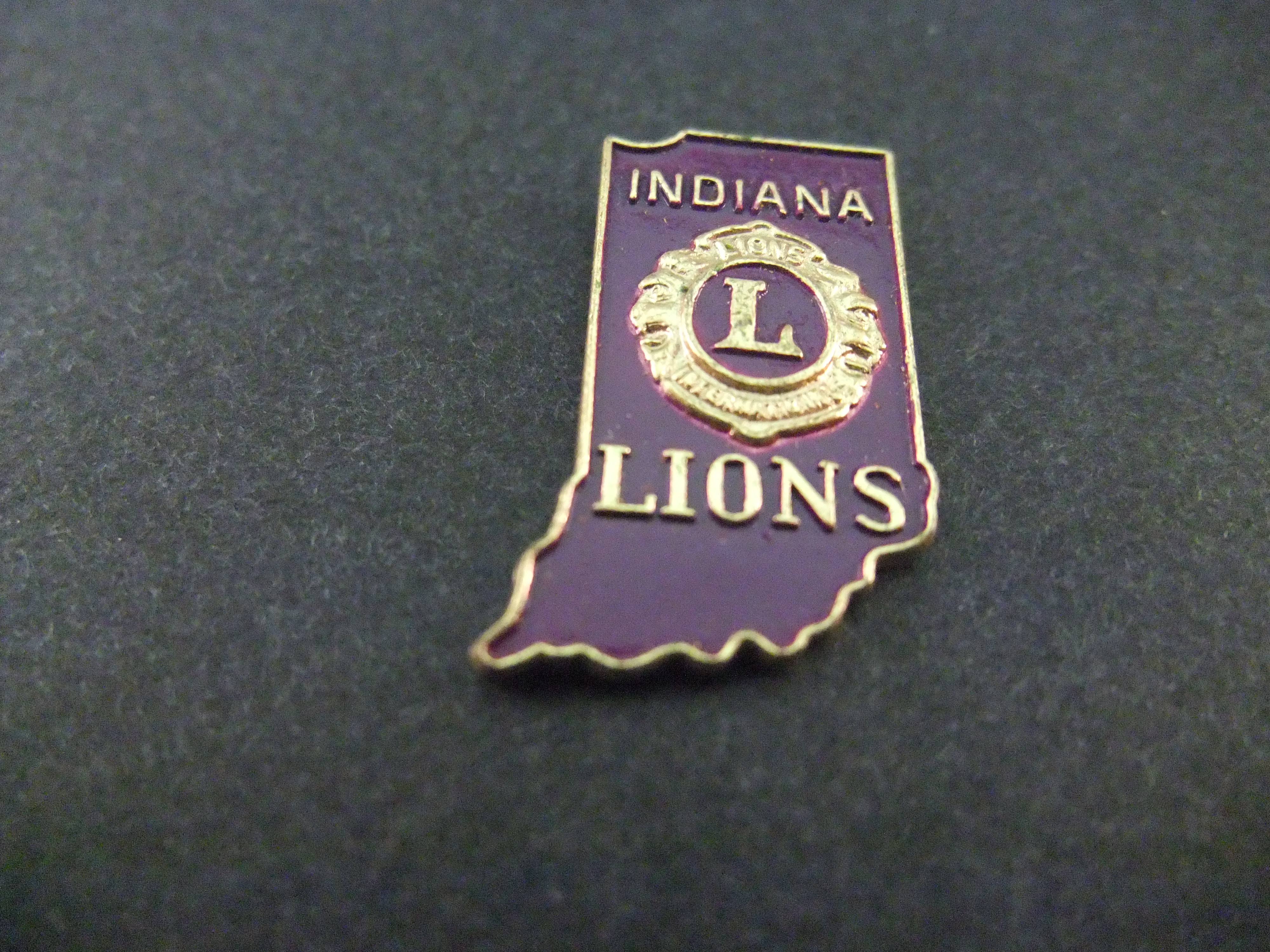 The Indiana Lions Club